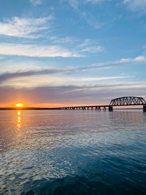 Bridgeview community
